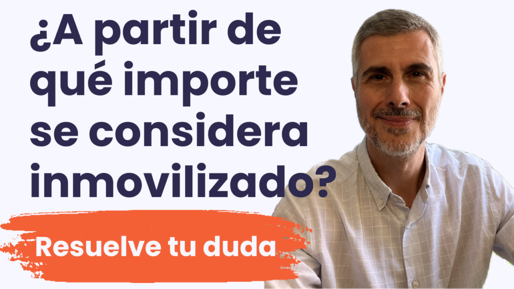 a partir de qué importe se considera inmovilizado